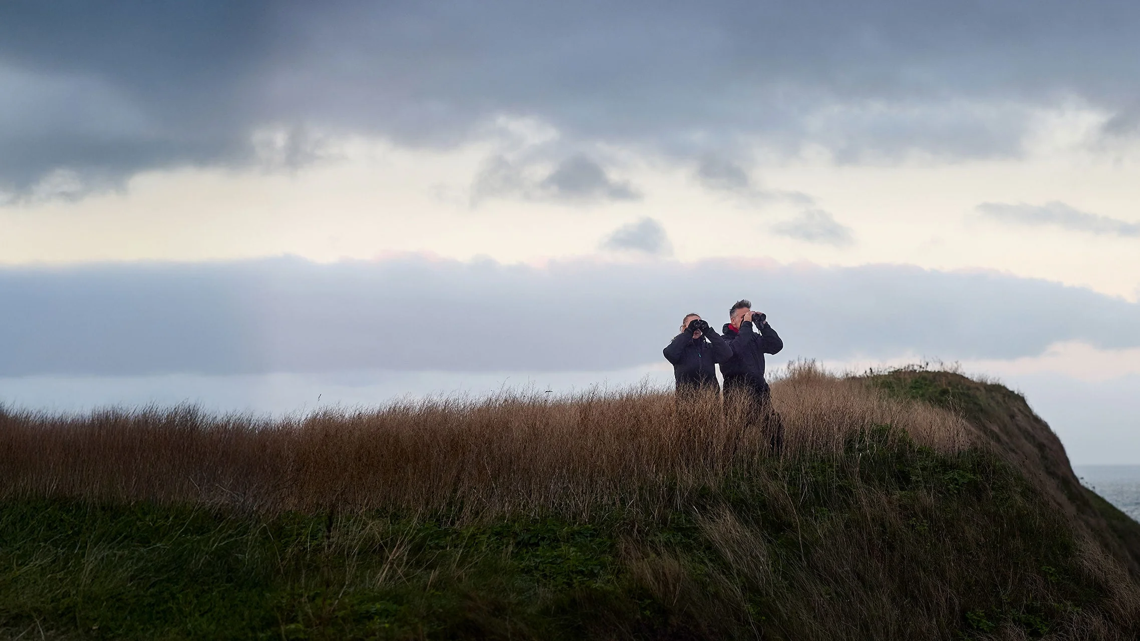 Révélez chaque détail du monde